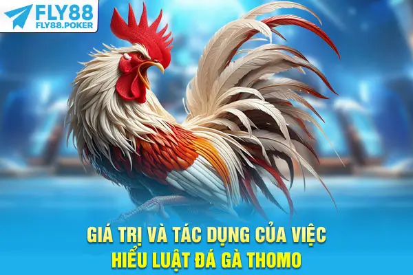 Luật Đá Gà Thomo - Cẩm Nang Giúp Bạn Làm Chủ Mọi Trận Đấu 7 Giá trị và tác dụng của việc hiểu luật đá gà Thomo