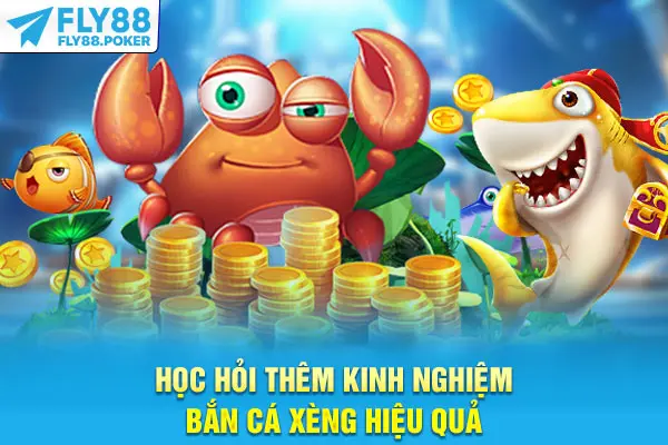 Bắn Cá Xèng - Trải Nghiệm Cực Đã Cùng Đại Dương Huyền Bí 7 Học hỏi thêm kinh nghiệm bắn cá Xèng hiệu quả